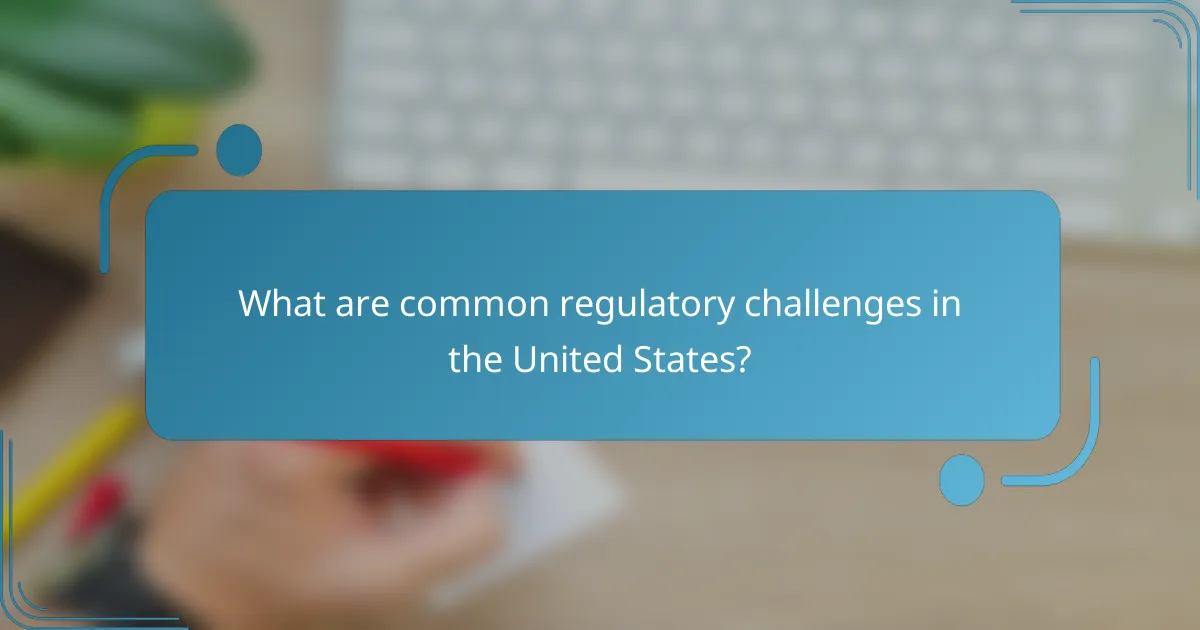 What are common regulatory challenges in the United States?